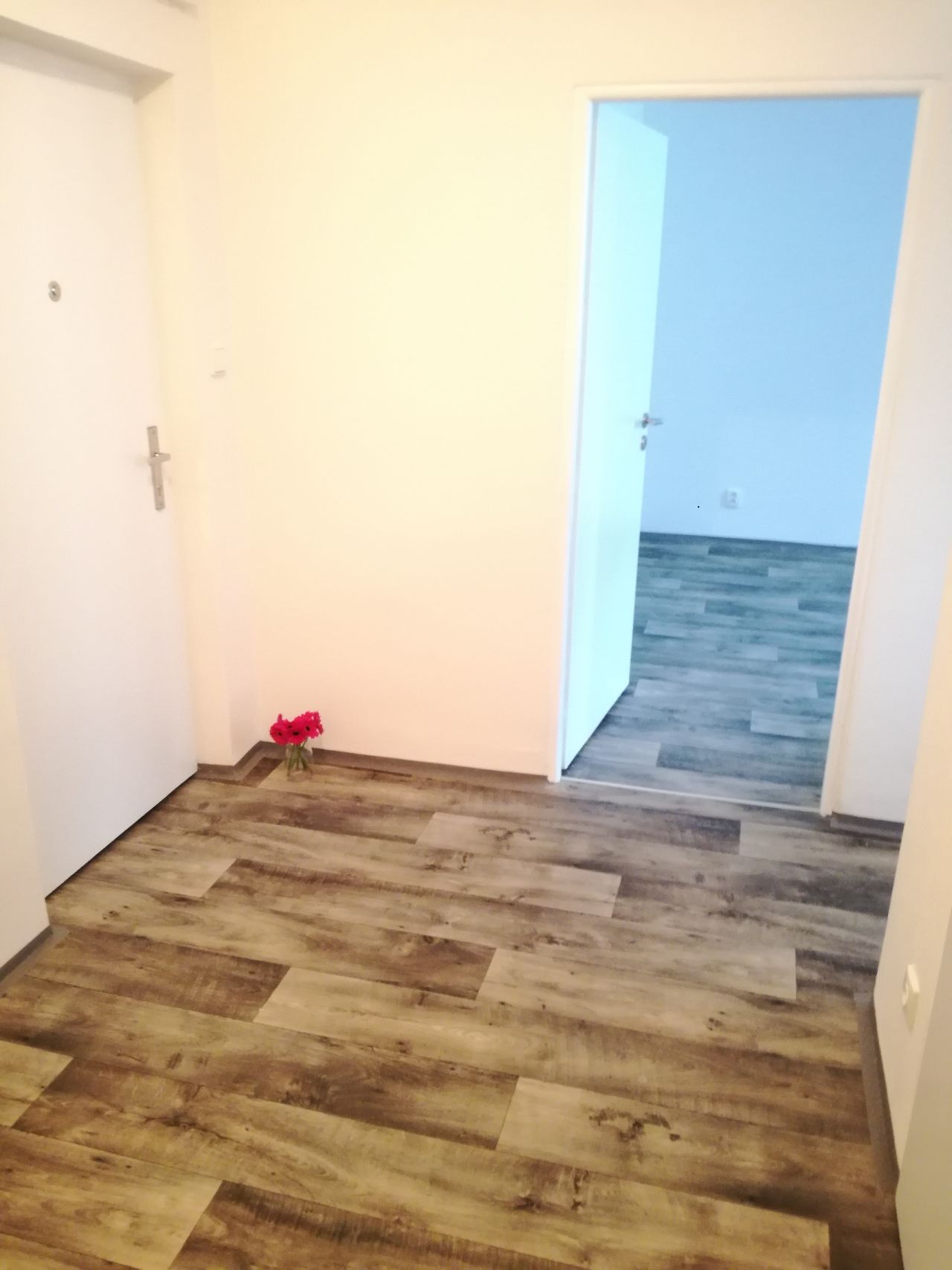 Pronájem bytu 1+1 36 m2, ul. Jasmínová 1616/3, Ostrava - Poruba 