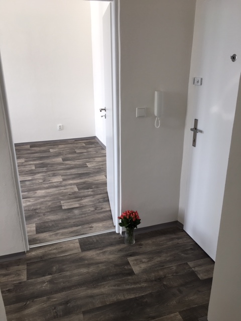 Pronájem bytu 2+1 50 m2, ul. Dr. Martínka 1161/61, Ostrava - Hrabůvka 